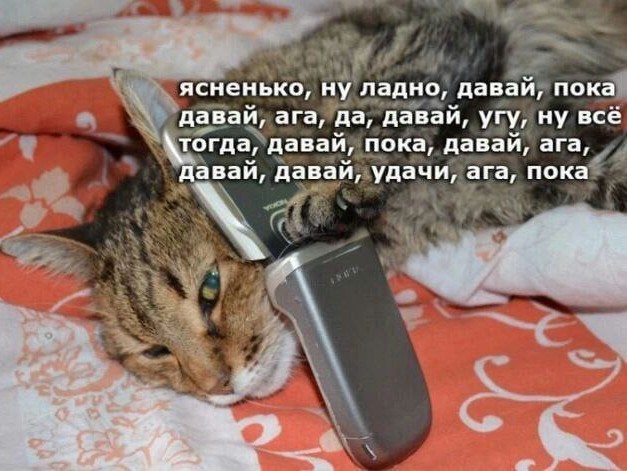 Всего понемногу. От 01.12.23