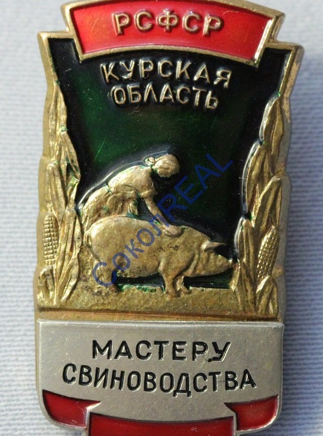 Всего понемногу. От 22.12.23