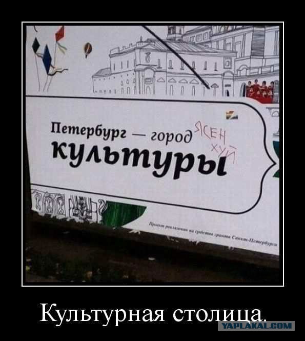 В Петербурге самые вежливые сотрудники ДПС