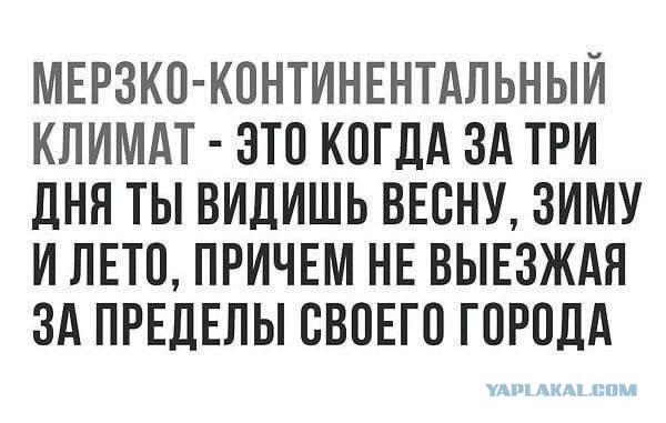 Странный пенопласт выпал в Отрадном вместо майского снега