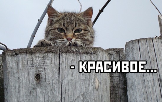 Позитива Вам в ленту.