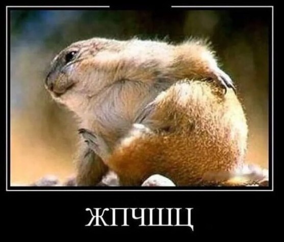 Чорный ужос на ночь