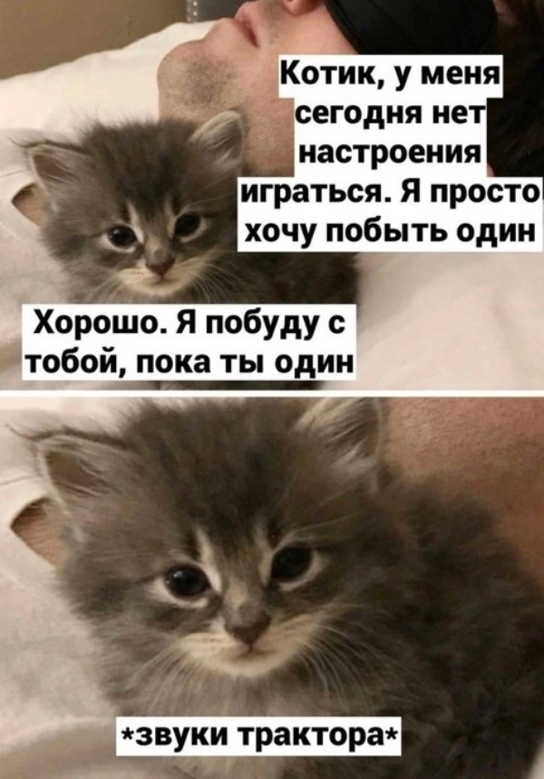 Никакие картинки и тексты
