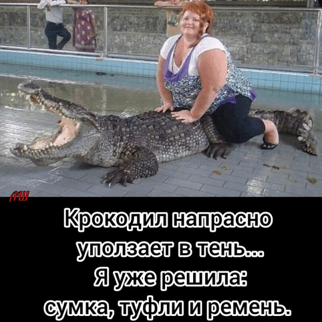 Юмор в картинках и без