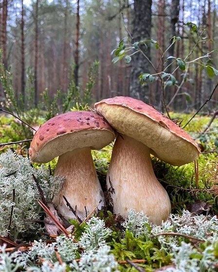 Между нами тает лёд