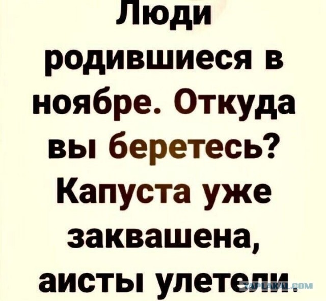 Забавные картинки, шутки из этих ваших интернетов