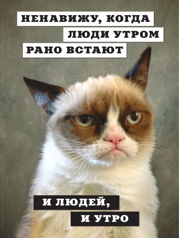 Кайф