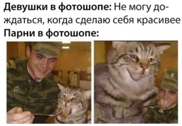 К котовторнику: подборка картинок-баянов с котиками и про котиков. Выпуск 10