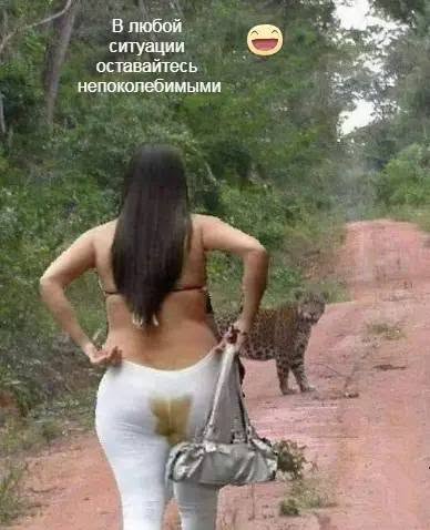 Пятничные бояны