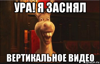 Регби: когда на поле творится безумие