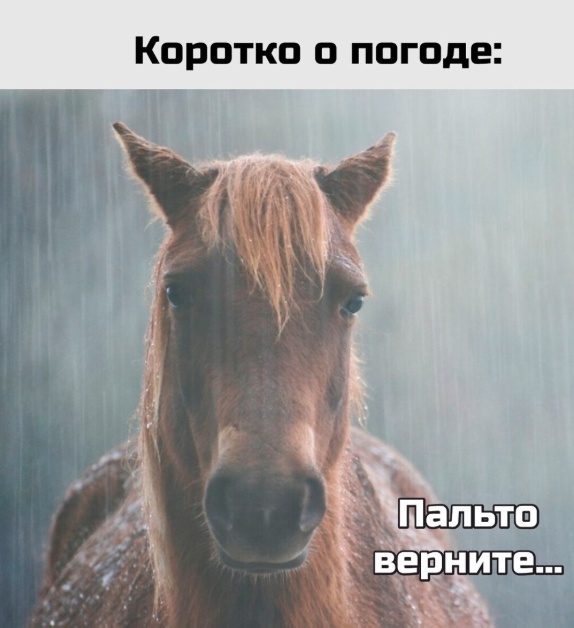 20418746.jpg