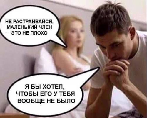 Дорогая Патамушта.