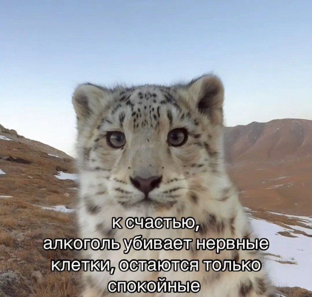 Пятничный алко-марафон