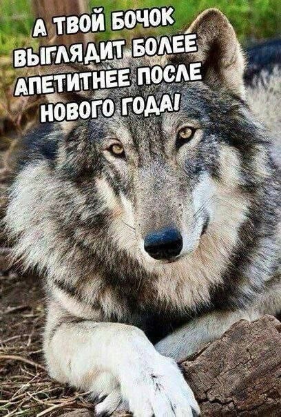 Воскресные картинки