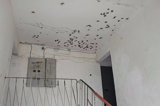 Совпадение? Не думаю...