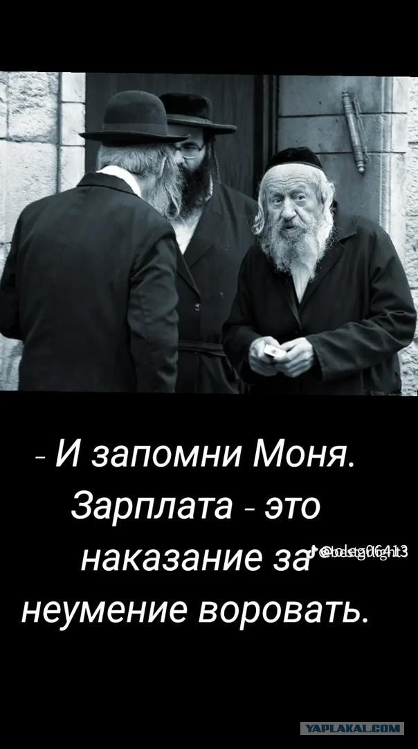 Веселые картинки в маленькую пятницу (05.08)