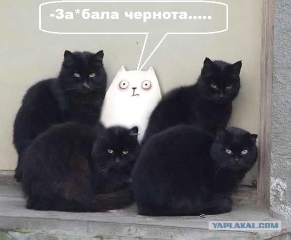 Стоять бояться!