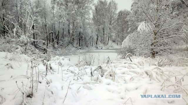 Деревенская Америка