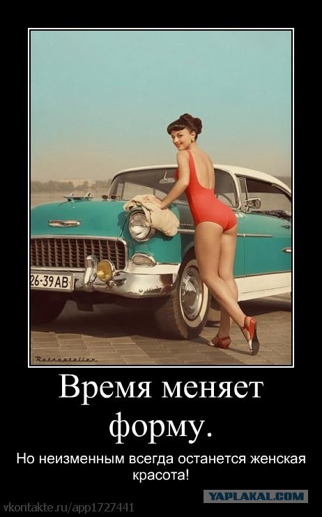 Смешные картинки из инета