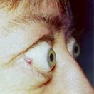 Хунта запретила русский язык