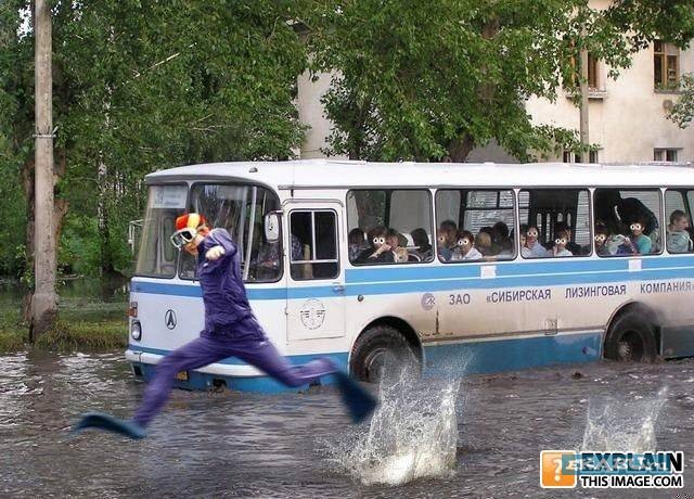 О пассажирах автобусов....
