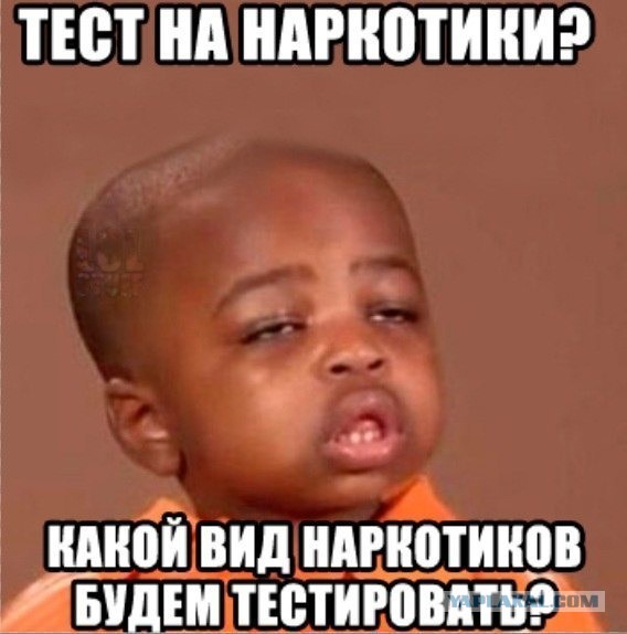 Опрос во Франции на тему ВОВ