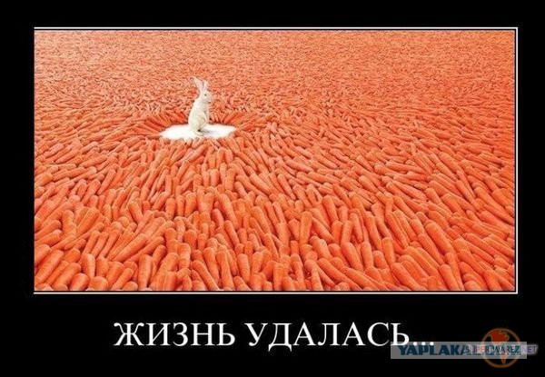 Яценюк Путину: пора прекращать строить