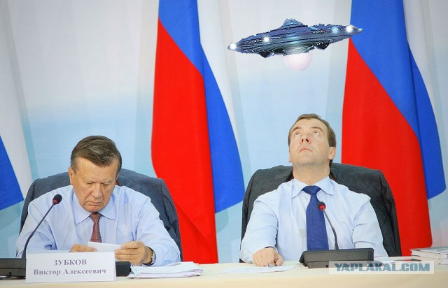Какие нах санкции, у меня тут шмель!