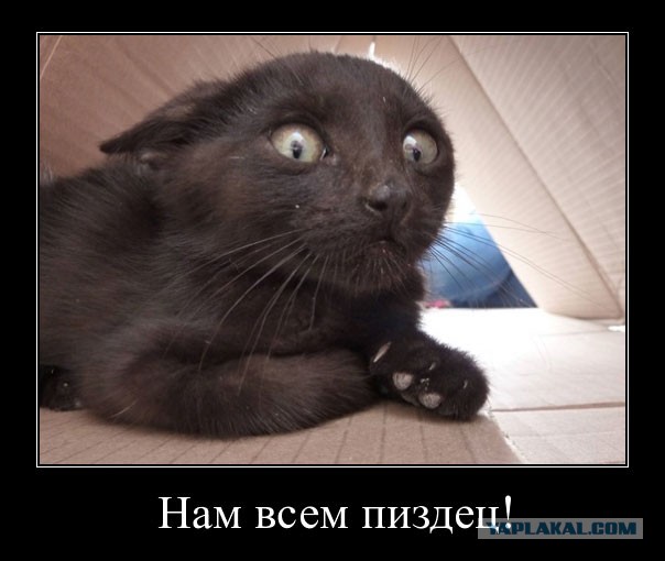 Нам всем ататата!