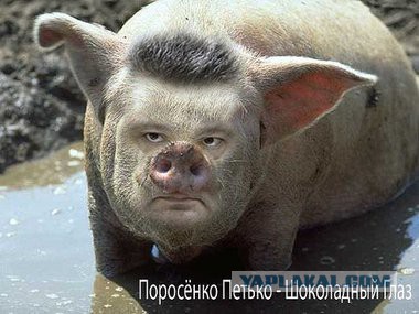 Женщины Запорожья начинают прозревать.
