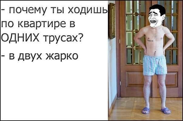 Подборка веселых картинок