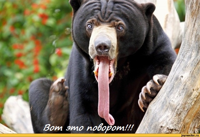 Стоим тихо, мирно, курим.