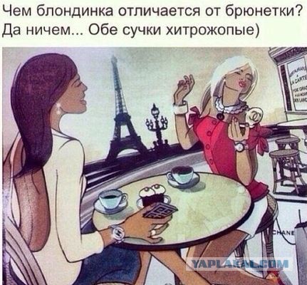 Веселые картинки