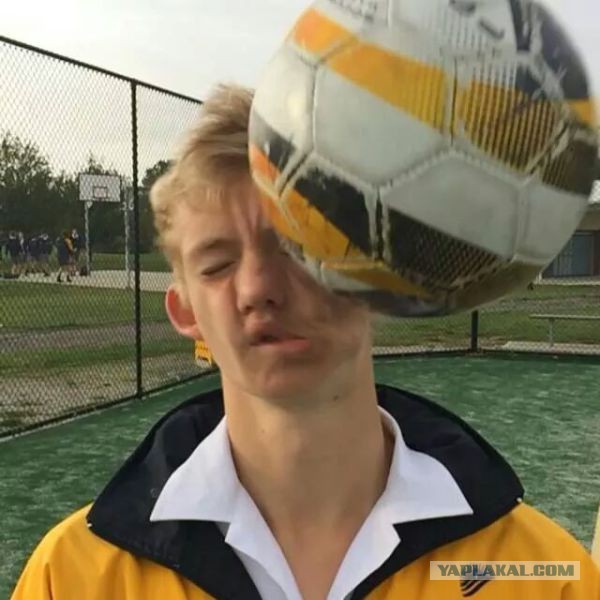Веселые картинки