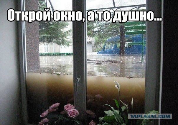 Забавные картинки из интернетов