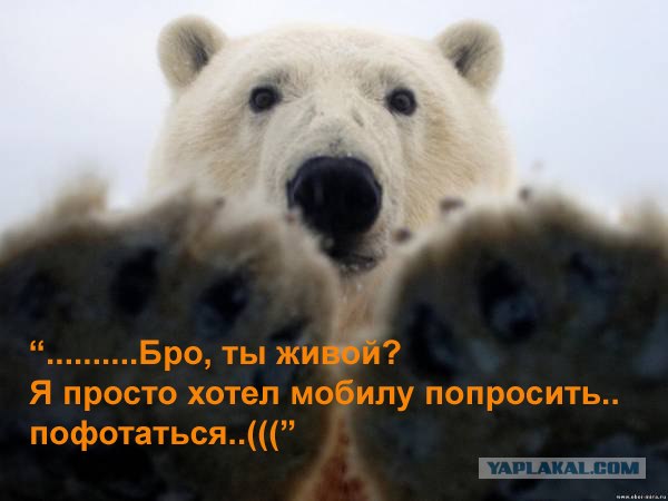 Как получаются такие фотографии