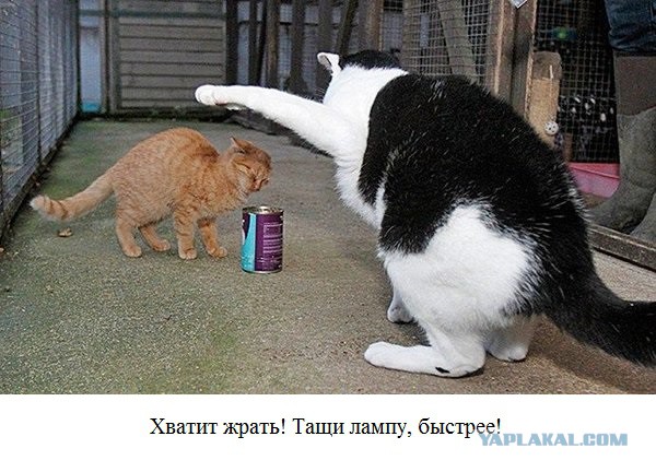 Пробуренная в степи  скважина издала крик