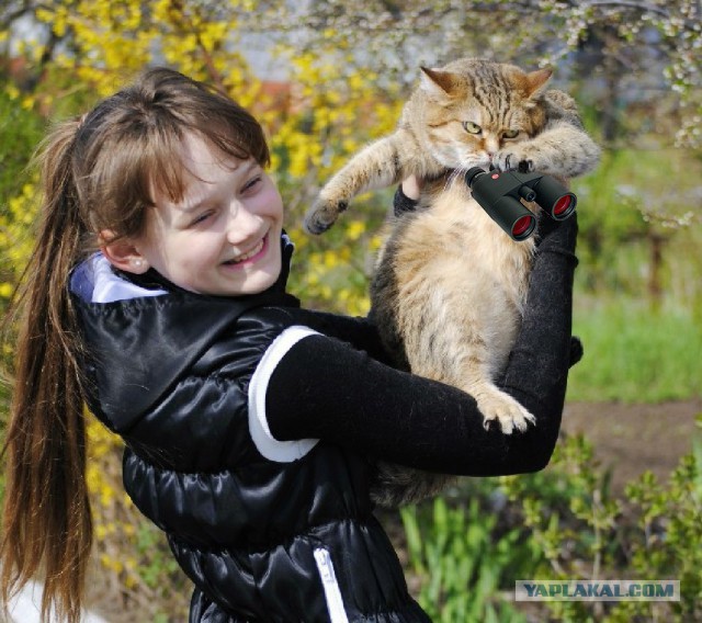 Первая прогулка с котом