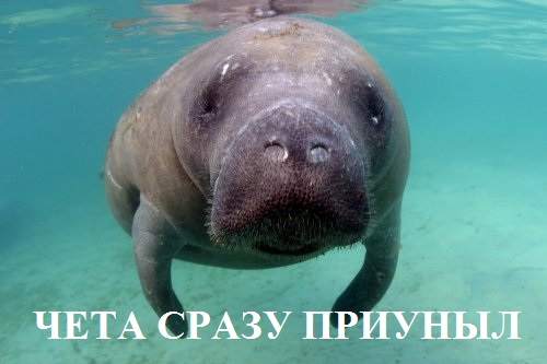 Пусть меня сожрет Нечто
