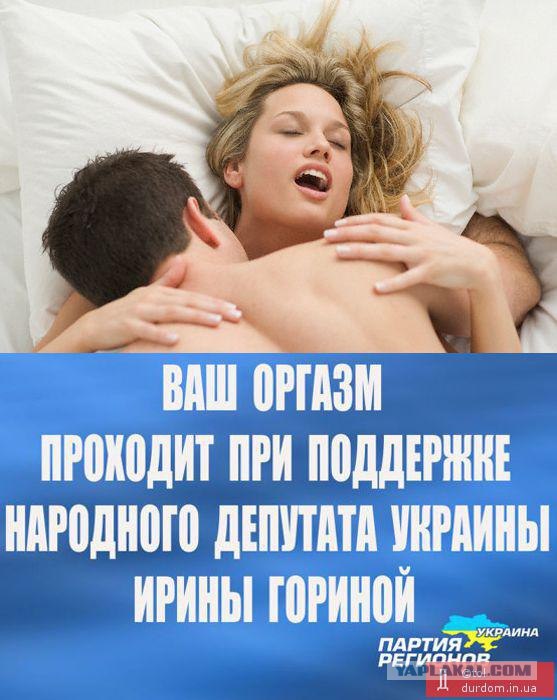 Предвыборный юмор по-украински (коте одобряет)