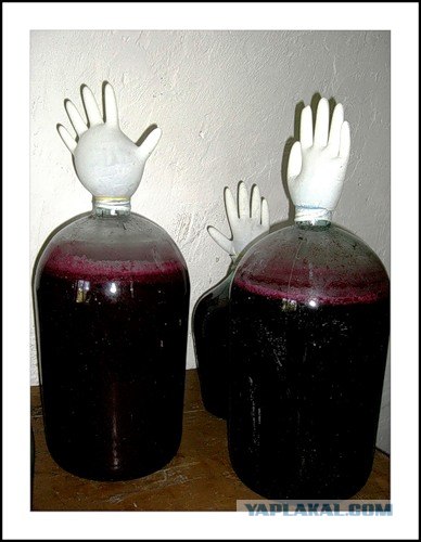 Посоны, го в детсво!