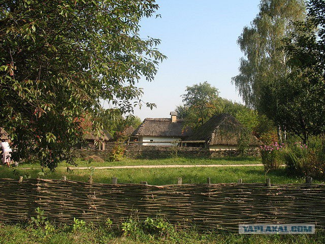 Соловьев троллит сЪукраинского гостя