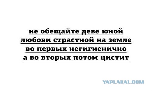 Смешные картинки №...дцать