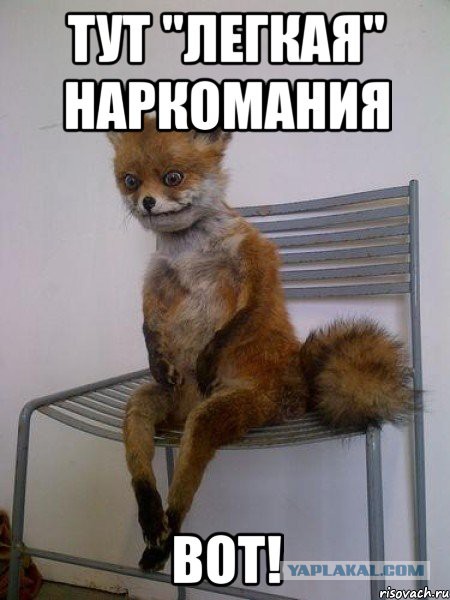 Путин ответил порошенко