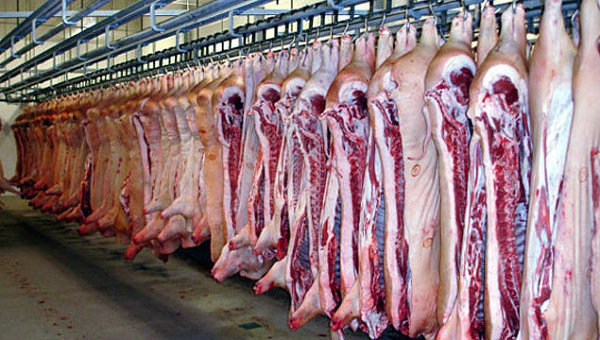 Свинья на мясокомбинате. Отходы мясного производства.