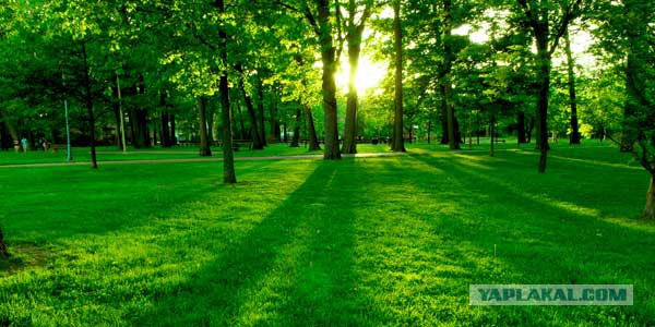 О смекалке советских конструкторов в годы ВОВ