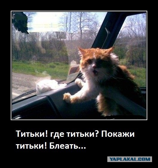 Няшки-милашки