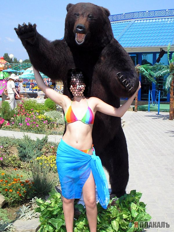 Превед медвед!