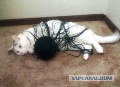 Японское оружие самообороны