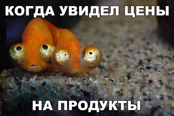 Подборка интересных и веселых картинок